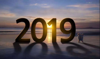 2019年是什么年 2019年是什么年庚