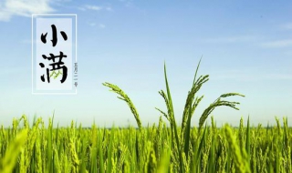 小满是什么意思（手机出现度小满是什么意思）