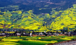 雅安旅游攻略（雅安旅游攻略二日游）