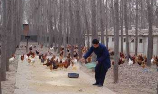 在农村干什么能挣钱（农村挣钱项目）