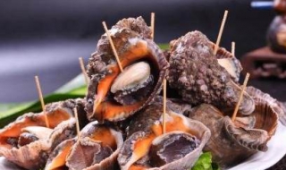 老年人海螺怎么吃（海螺吃法大全）