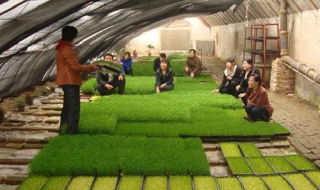 在农村如何赚钱 在农村如何赚钱快