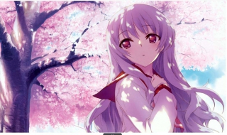 月经周期怎么算 月经周期怎么算是规律