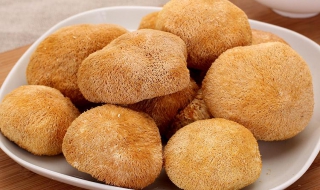 鲜猴头菇怎么吃（鲜猴头菇怎么吃最好）