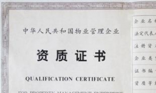 资质证书正副本的区别有哪些（资质证书正副本的区别有哪些图片）