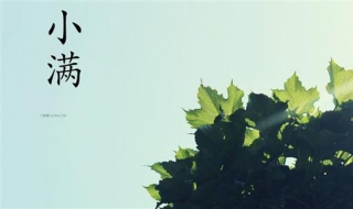 小满图片（人间小满图片）