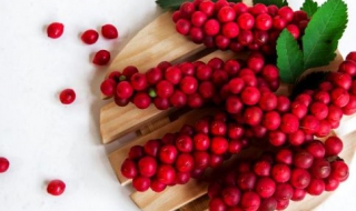 每天吃什么东西减肥最快 每天吃什么东西减肥最快最有效