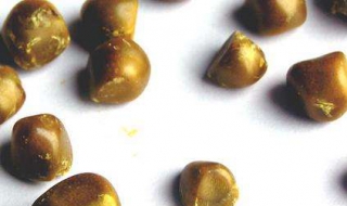 尿结石结石吃什么好 尿结石肾结石吃什么好