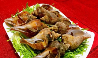 大葱三吃海螺 大葱炒海螺