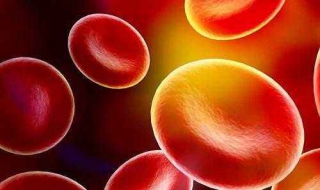 尿胆红素高是怎么回事 尿胆红素高是怎么回事有什么危害