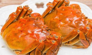 螃蟹怎么做好吃（螃蟹怎么做好吃又简单视频教程）