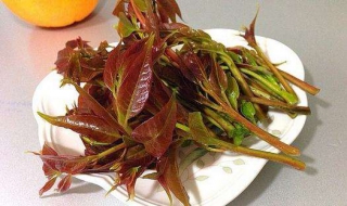 晒干的香椿怎么吃 晒干的香椿怎么吃好