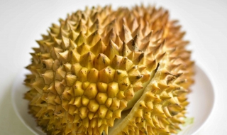 榴莲怎么吃好吃 榴莲怎么吃好吃的做法