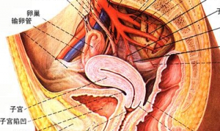 盆腔积液是怎么引起的（盆腔积液是怎么引起的 如何治疗方法）