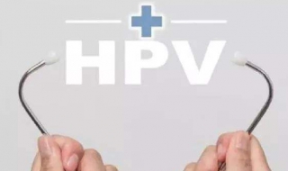 HPV是什么（hpv是什么意思）