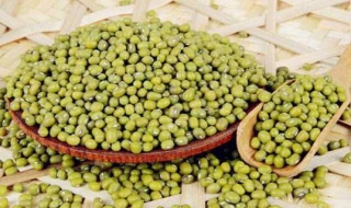 粤菜红薯绿豆汤的做法（粤菜红薯绿豆汤的做法窍门）