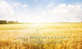 正能量图片（正能量图片2022新图片）