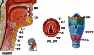 英语音标发音方法 英语音标发音方法与技巧