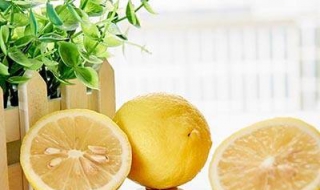 柠檬的吃法（柠檬的吃法和功效）