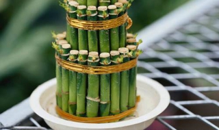 富贵竹怎么养 富贵竹怎么养才能养的好