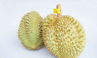 吃榴莲有什么好处（大姨妈期间吃榴莲有什么好处）