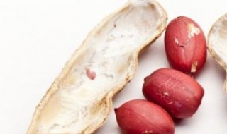 胃疼吃什么食物 胃疼吃什么食物好消化