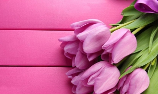 鲜花图片 鲜花图片 花束