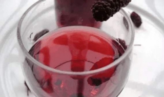 桑葚酒的制作方法（桑葚酒的制作方法视频教程）
