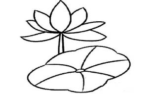 荷花怎么画（荷花怎么画 简单）