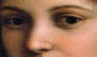 意大利肉酱面做法 番茄意大利肉酱面做法