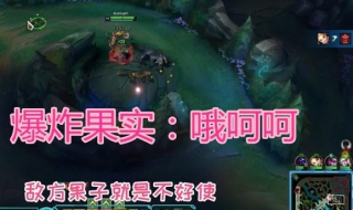 S7LOL英雄联盟卡爆炸果实（英雄联盟爆裂球果）