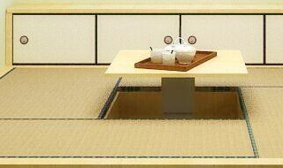 榻榻米是什么? 榻榻米是什么意思,怎么叫榻榻米啊