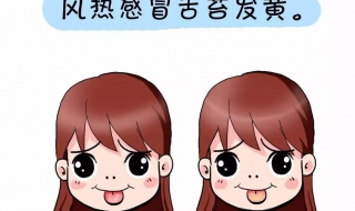 风热感冒和风寒感冒的区别（风热感冒和风寒感冒的区别与治疗）