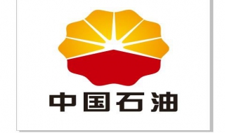 中国石油 中国石油大学华东