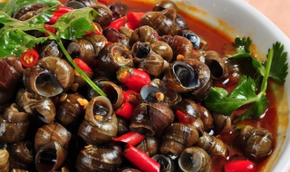 田螺的做法（田螺的做法视频教程）