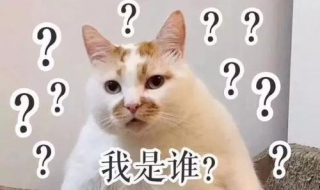 我是谁背影猜猜猜 我是谁背影猜猜猜答案大全