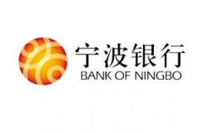 宁波银行手机银行 宁波银行手机银行电子流水