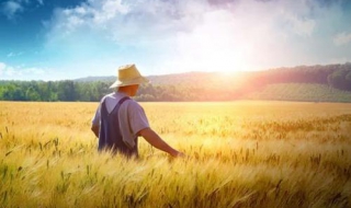 农村经济对我国整体经济的影响 农村经济对我国整体经济的影响研究