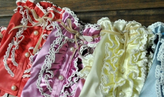 宠物服饰设计工作室如何开办（宠物服装设计）