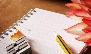 写作技巧（写作技巧书籍）