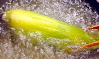 玉米一般煮多长时间 玉米一般煮多长时间可以吃