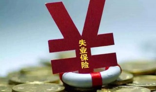 没领失业保险金可以领失业补助金 没领失业保险金可以领失业补助金吗