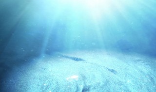 海底9万米有多恐怖（海底2000000000米生物）