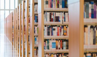 张天翼的简介（张天翼的简介50字）