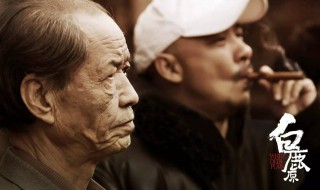 白鹿原作者陈忠实简介（白鹿原作者是贾平凹还是陈忠实）