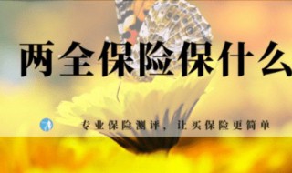 两全保险什么意思 华夏两全保险什么意思