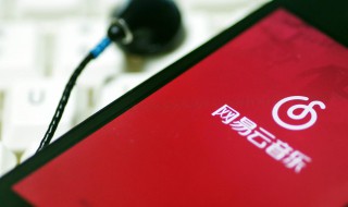 手机网易云音乐怎么上传歌词（手机网易云音乐怎么上传歌词翻译）