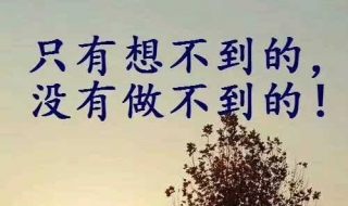 经典句子（经典句子 人生感悟）