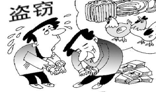 盗窃罪的概念 盗窃罪的概念和构成要件