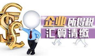 所得税汇算清缴（所得税汇算清缴调整项目）